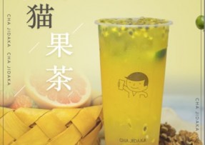 球客直播 ：熊猫果茶