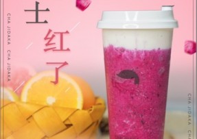 球客直播 ：芝士红了