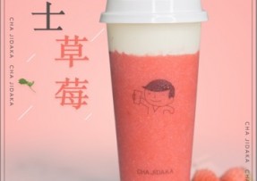 球客直播 ：芝士草莓